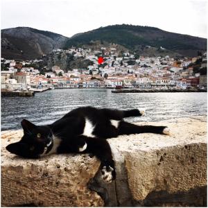 The home overlooking the harbor Hydra Greece