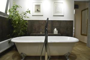 B&B / Chambres d'hotes Campagne Paumier : photos des chambres