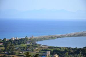 Erismini