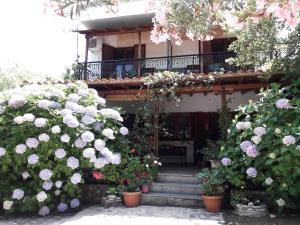 Akamatis Giorgos Nisos-Samothraki Greece