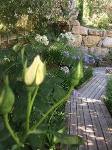 Maisons d'hotes Mas de Provence en Riviera : photos des chambres