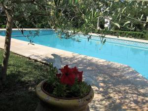 Au vallon rouge (Suite double)