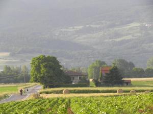 Penzion Agriturismo Poderi Minori Bibbiena Itálie