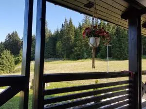 Pensiunea Maria-Bucovina - Moldoviţa