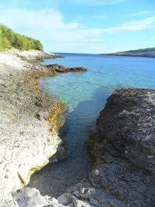 Apartments Neo - Rukavac