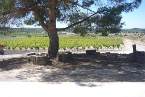 Le Petit Mas du Vigné