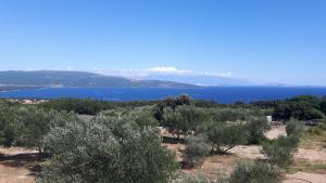 Holiday House Maslina