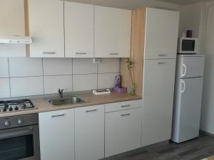 Studio apartman Toplica