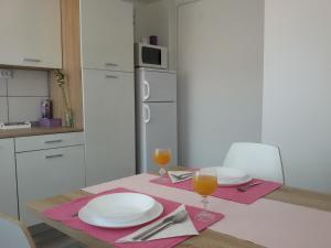 Studio apartman Toplica