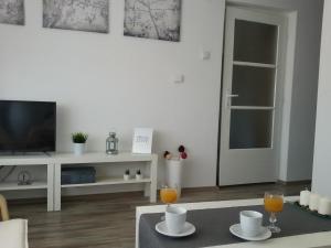 Studio apartman Toplica