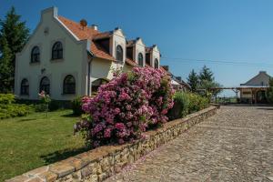 Pension Garden Vendégház Makó Makó Ungarn