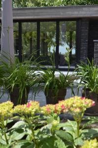 Vakantiewoning Wanderlust