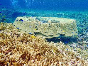 Seaside KLATCH -Villa&sauna-