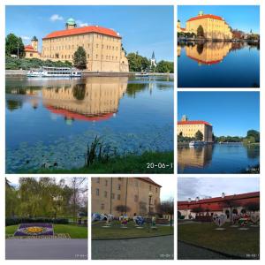 Family pension Homestay Poděbrady Poděbrady Czech Republic