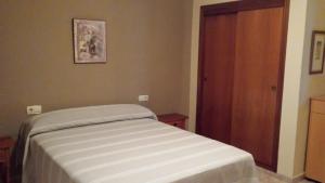 Palmeral de Torrevieja