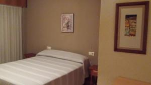 Palmeral de Torrevieja