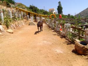 Stone Village Hotel Apartments Rethymno Greece