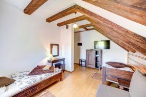 Family Room room in Hotel Solny