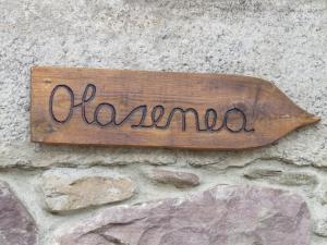 Albergue Olasenea Aterpea