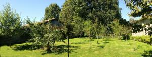 Maisons de vacances A la Bonne Franquette : photos des chambres
