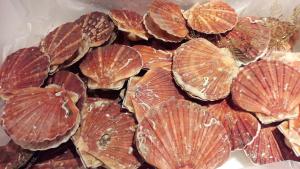 Villas Aux Premieres Loges : photos des chambres