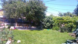 Zoi Residence