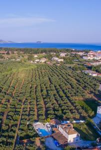 Eleni's Family Villa Zakynthos Greece