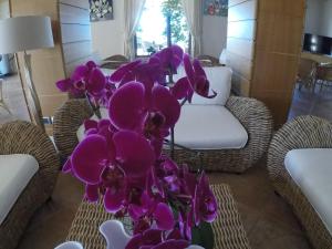 Hotel Villa Gustui Maris img58