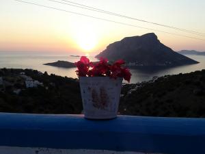 Villa Marzi Kalymnos Kalymnos Greece