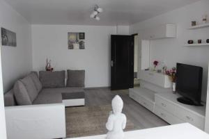 Apartmán Apartament Anais Călimăneşti Rumunsko