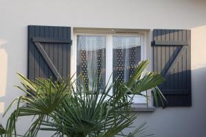 Charme & Confort-Proche Parc Ornithologique-Dune du Pilat- Petit-déjeuner sur demande - Nuitée, Court séjour, Semaine