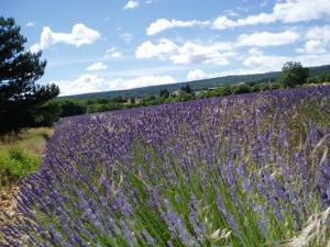 B&B / Chambres d'hotes Le Grangeon : photos des chambres