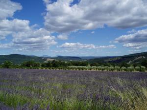 B&B / Chambres d'hotes Le Grangeon : photos des chambres