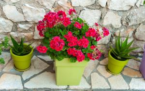 San Lazzaro Lefkada Greece