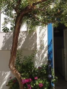 Creta Sun Apartments Lasithi Greece