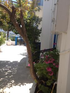 Creta Sun Apartments Lasithi Greece