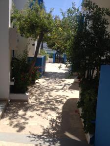 Creta Sun Apartments Lasithi Greece