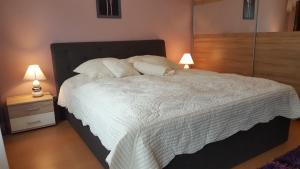 5 gwiazdkowy apartament Palatium Bad Ems Bad Ems Niemcy