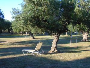 Dimaras Apartments Zakynthos Greece