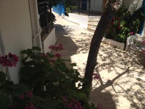 Creta Sun Apartments Lasithi Greece