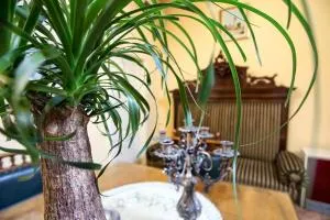 Luna apartment - Čenej