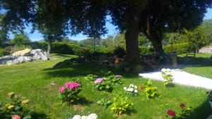 Hotel La Encina Celorio Llanes PARKING