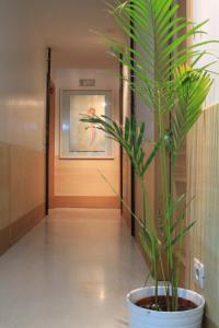 Double or Twin Room room in A Casa Di Penelope