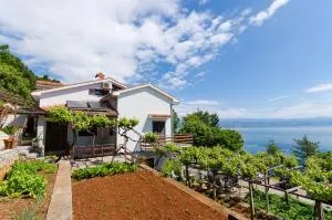 Apartments Milan - Medveja