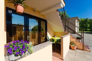 One-Bedroom Apartment room in Apartments SALAMON