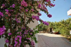 Apartments Sime