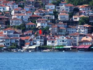 Orhidea House