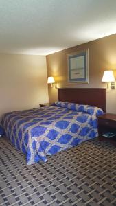 Large Single Room room in Red Carpet Inn Kinston
