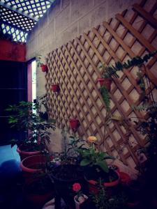 Hotel Casa Quetzaltenango