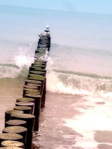 BSW-Ferienwohnungen Kühlungsborn